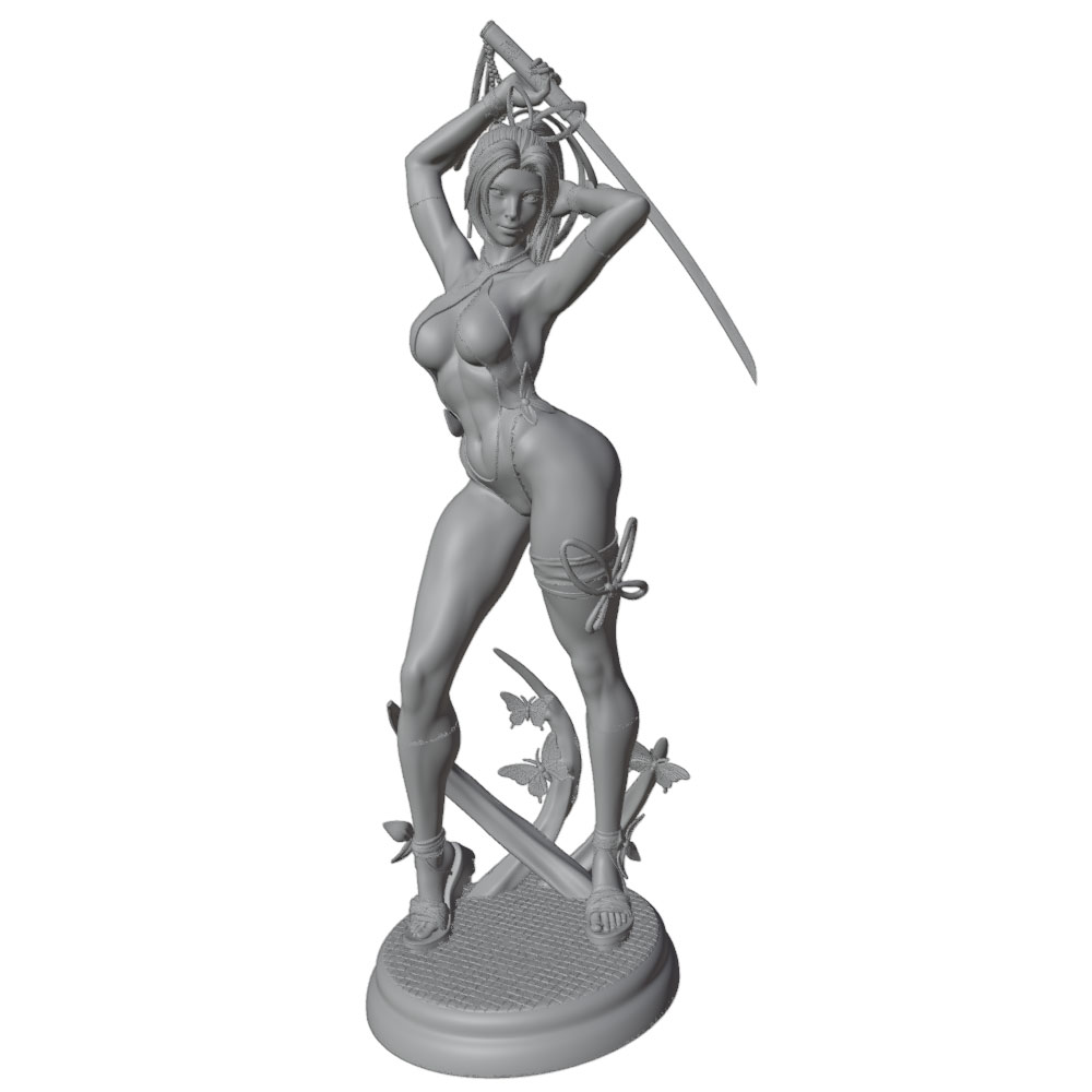 1/24 Female 	Warrior Resin Mod - огляд і ціна Model Kit Hg