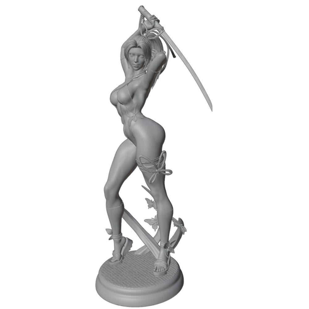 1/24 Female 	Warrior Resin Mod - огляд і ціна Model Kit Hg